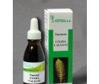 TINCTURA COADA CALULUI 50ml HOFIGAL - Produse naturiste