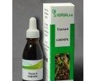 TINCTURA GHIMPE 50ml HOFIGAL - Produse naturiste