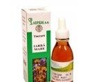 TINCTURA IARBA MARE 50ml HOFIGAL - Produse naturiste