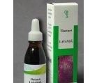 TINCTURA LAVANDA 50ml HOFIGAL - Produse naturiste