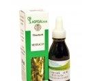 TINCTURA MESTEACAN 50ml HOFIGAL - Produse naturiste