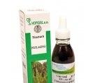 TINCTURA PATLAGINA 50ml HOFIGAL - Produse naturiste