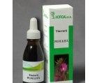 TINCTURA PUFULITA 50ml HOFIGAL - Produse naturiste