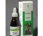 TINCTURA SALVIE 50ml HOFIGAL - Produse naturiste