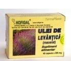 ULEI LAVANDA 40cps HOFIGAL - Produse naturiste