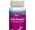 ARTO PROTECT 60cps INDIAN HERBAL - Produse naturiste