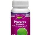PANCREAS STIMULENT 60cps INDIAN HERBAL - Produse naturiste