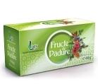 CEAI FRUCTE PADURE 20dz LARIX - Produse naturiste