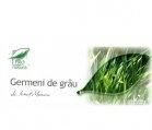 GERMENI DE GRAU 30cps blister MEDICA - Produse naturiste