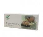 TRIBULUS TERRESTRIS 30cps blister MEDICA - Produse naturiste