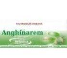 ANGHINARE 250mg 20cpr BLISTER REMEDIA - Produse naturiste