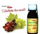 ANTIOXI VITA 100ml PHENALEX - Produse naturiste