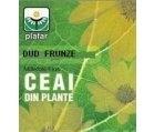 CEAI DUD FRUNZE 50gr PLAFAR - Produse naturiste
