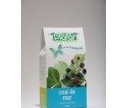 CEAI MUR FRUNZE 50gr PLAFAR - Produse naturiste