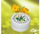 UNGUENT ROSTOPASCA 20gr PLAFAR IMPEX - Produse naturiste