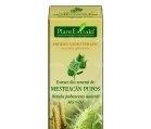 BETULA PUBESCENS (MEST PUFOS) 50ml PLANTMED - Produse naturiste