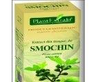 FICUS CARICA (SMOCHIN) 50ml PLANTMED - Produse naturiste