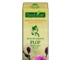 POPULUS NIGRA (PLOP) 50ml PLANTMED - Produse naturiste