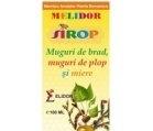 SIROP MUGURI BRAD SI PLOP+MIERE 100ml PONTICA - Produse naturiste