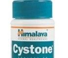 CYSTONE 60cps PRISUM HIMALAYA - Produse naturiste