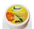 BALSAM GALBENELE+PROPOLIS 30gr QUANTUM PHARM - Produse naturiste