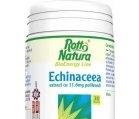 EXTRACT ECHINACEA 30cps ROTTA NATURA - Produse naturiste