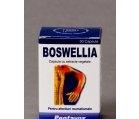 BOSWELLIA 30cps PENTAVOX SANPRODMED - Produse naturiste