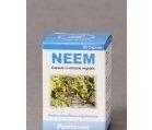 NEEM 30cps PENTAVOX SANPRODMED - Produse naturiste