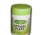 ANTIOXIPLANT 60cps SANTO RAPHAEL - Produse naturiste