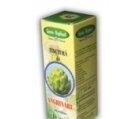 TINCTURA ANGHINARE 50ml SANTO RAPHAEL - Produse naturiste