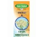 TINCTURA COADA SORICELULUI 50ml SANTO RAPHAEL - Produse naturiste