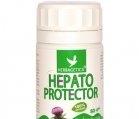 HEPATOPROTECTOR 80cps HERBAGETICA - Produse naturiste
